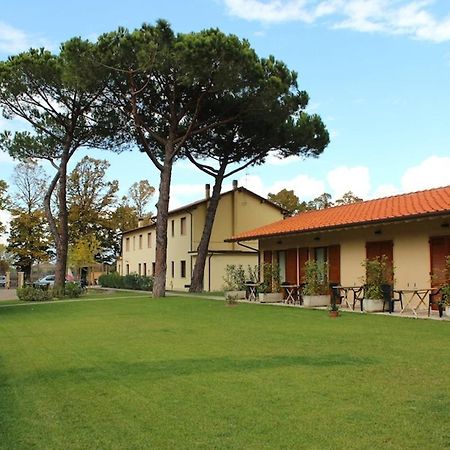 Villa Rosy Torre del Lago Puccini Dış mekan fotoğraf